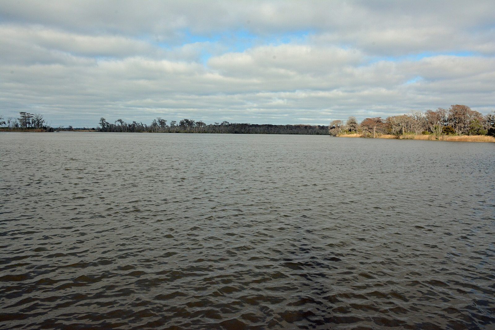 The broad Altamaha River near the Georgia coast under a gray winter sky, with bare cypress and marsh grass lining the far bank