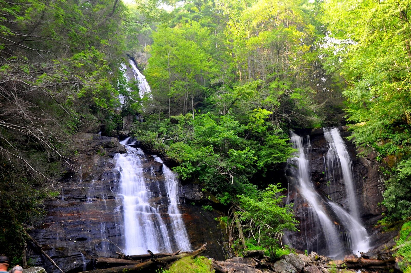 The two falls of Anna Ruby Falls dropping side by side over dark rock into a wooded gorge in summer, with green foliage all around