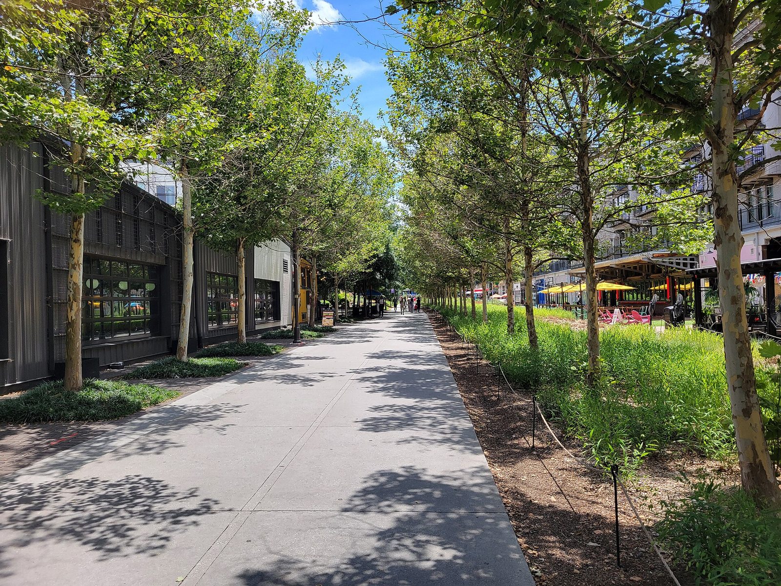 A paved walking and cycling trail lined with young plane trees on the Atlanta BeltLine Eastside Trail in Inman Park, with restaurant patios and umbrellas on the right