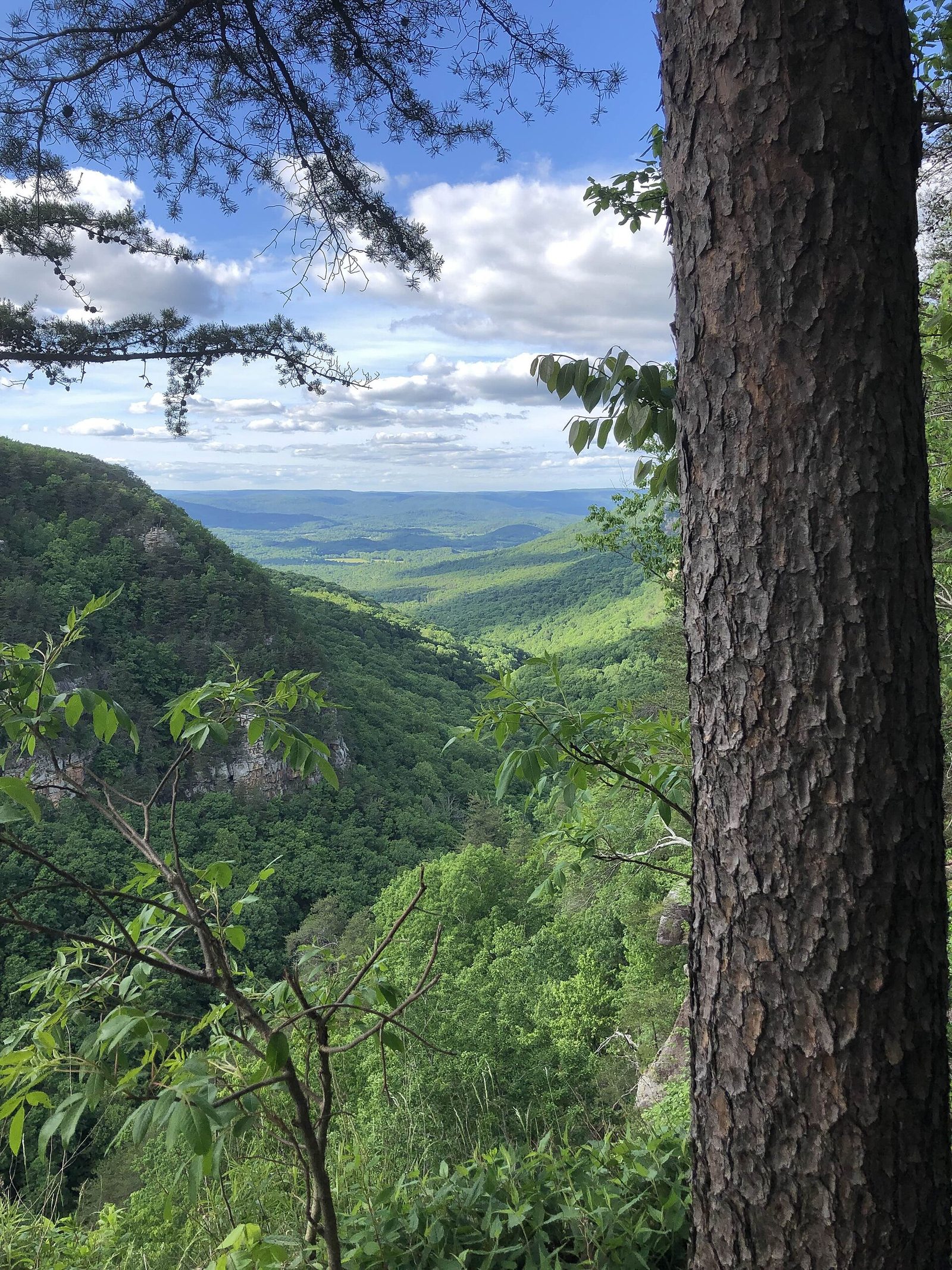 Fall Weekend Getaways in Georgia: Leaves, Apples and Trails