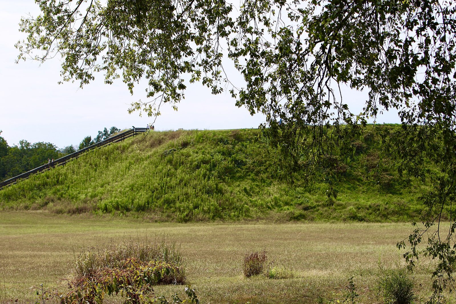 A large grassed earthen temple mound with a long wooden staircase up one side, rising above a mown plaza at Etowah Indian Mounds in Cartersville, Georgia