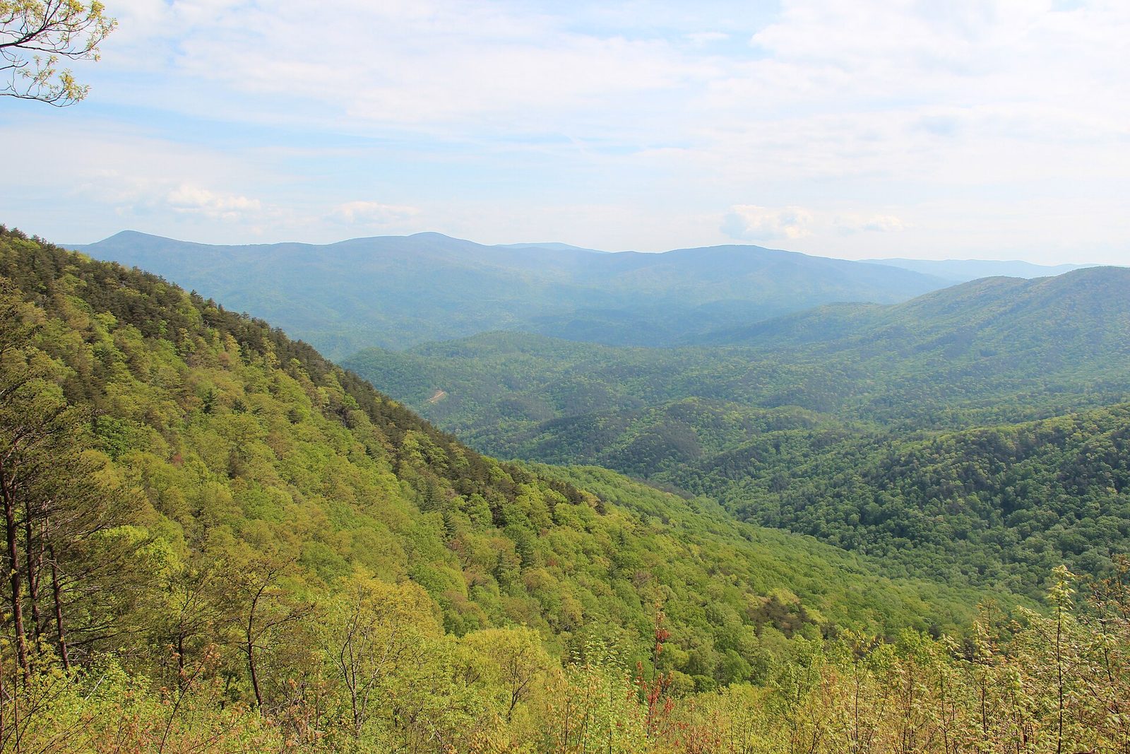 Camping & RV Travel in Georgia: Sites, Rules & Booking Windows