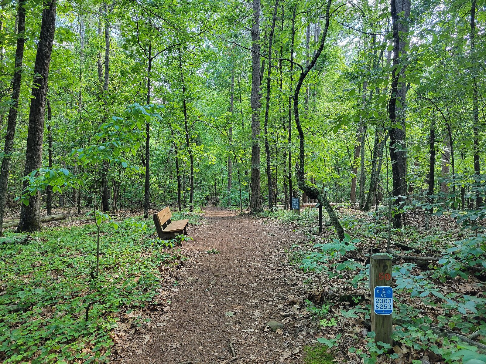 A shaded dirt hiking trail with a wooden bench and a numbered trail marker running through green summer woodland at Kennesaw Mountain National Battlefield Park