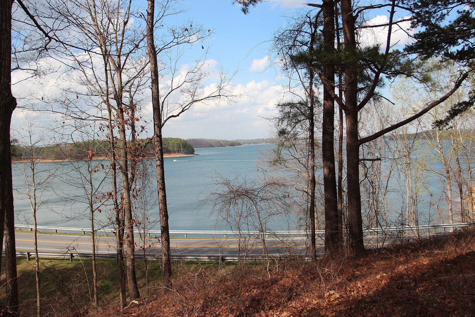 Georgia Lakes, Rivers & Water Adventures: Access, Fees & Safety