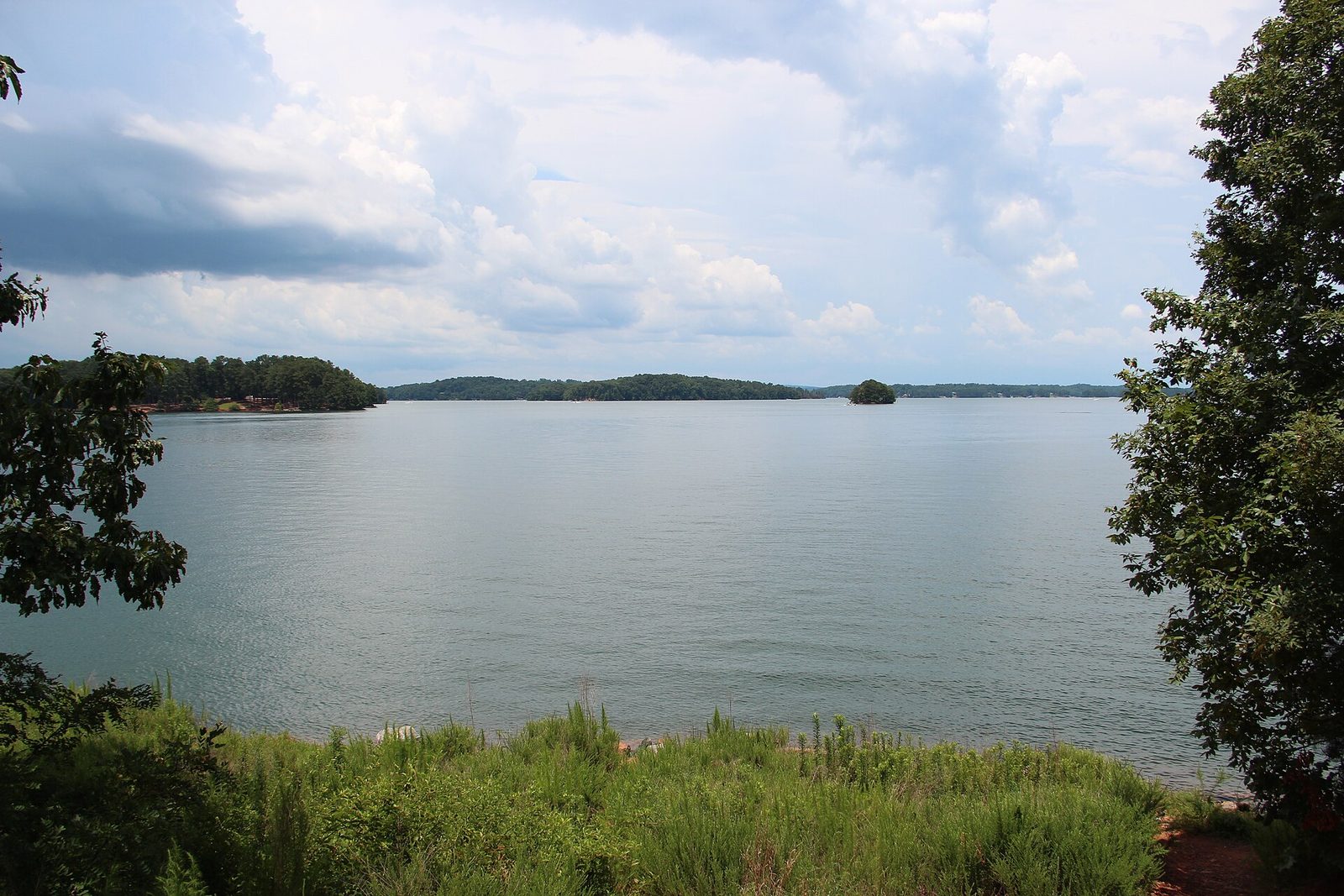 Lake Lanier in Georgia seen from a wooded shoreline, with tree-covered points and islands under a summer sky of towering clouds