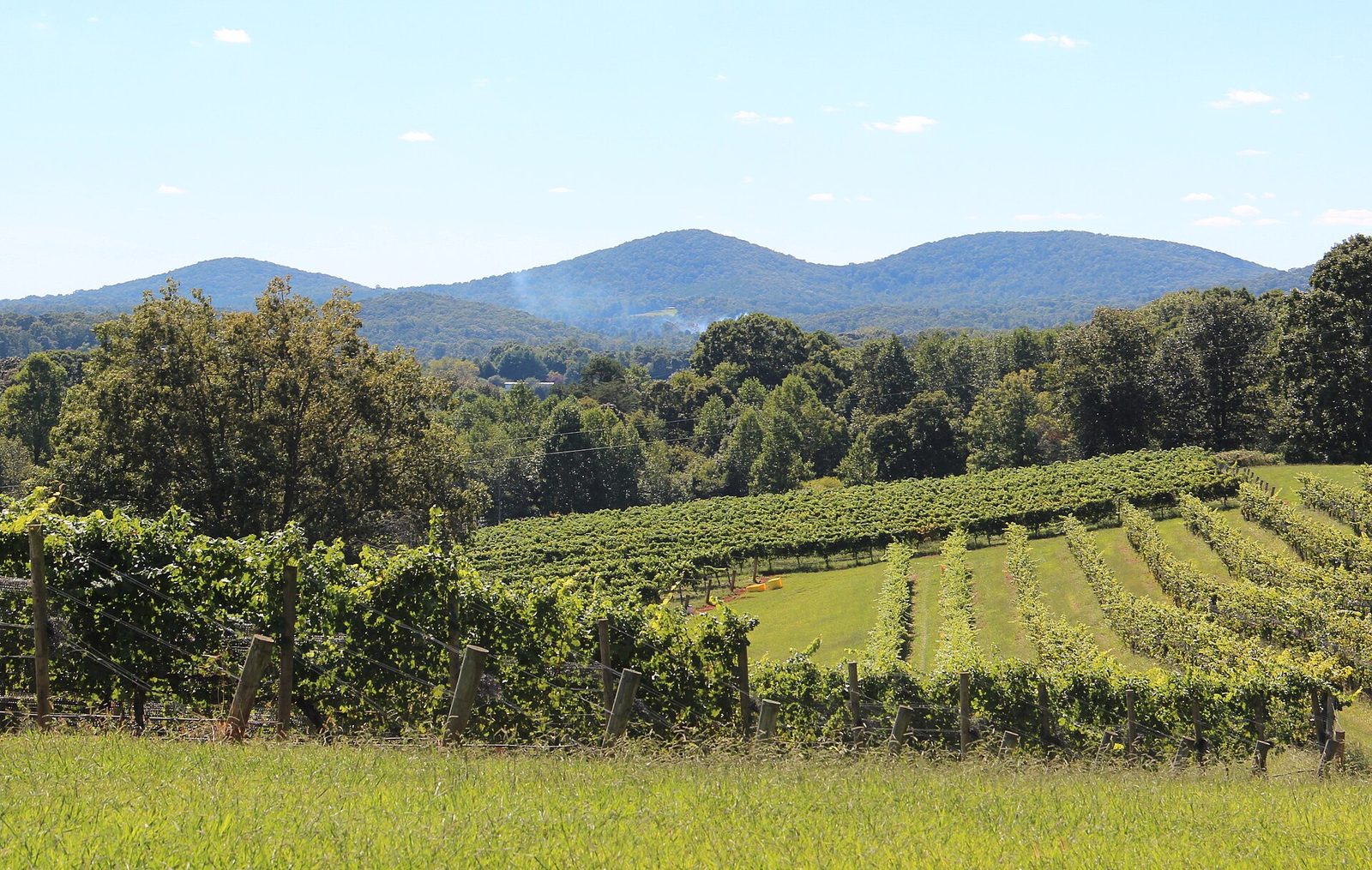 Georgia Wineries, Farms & Agritourism: A Practical Guide