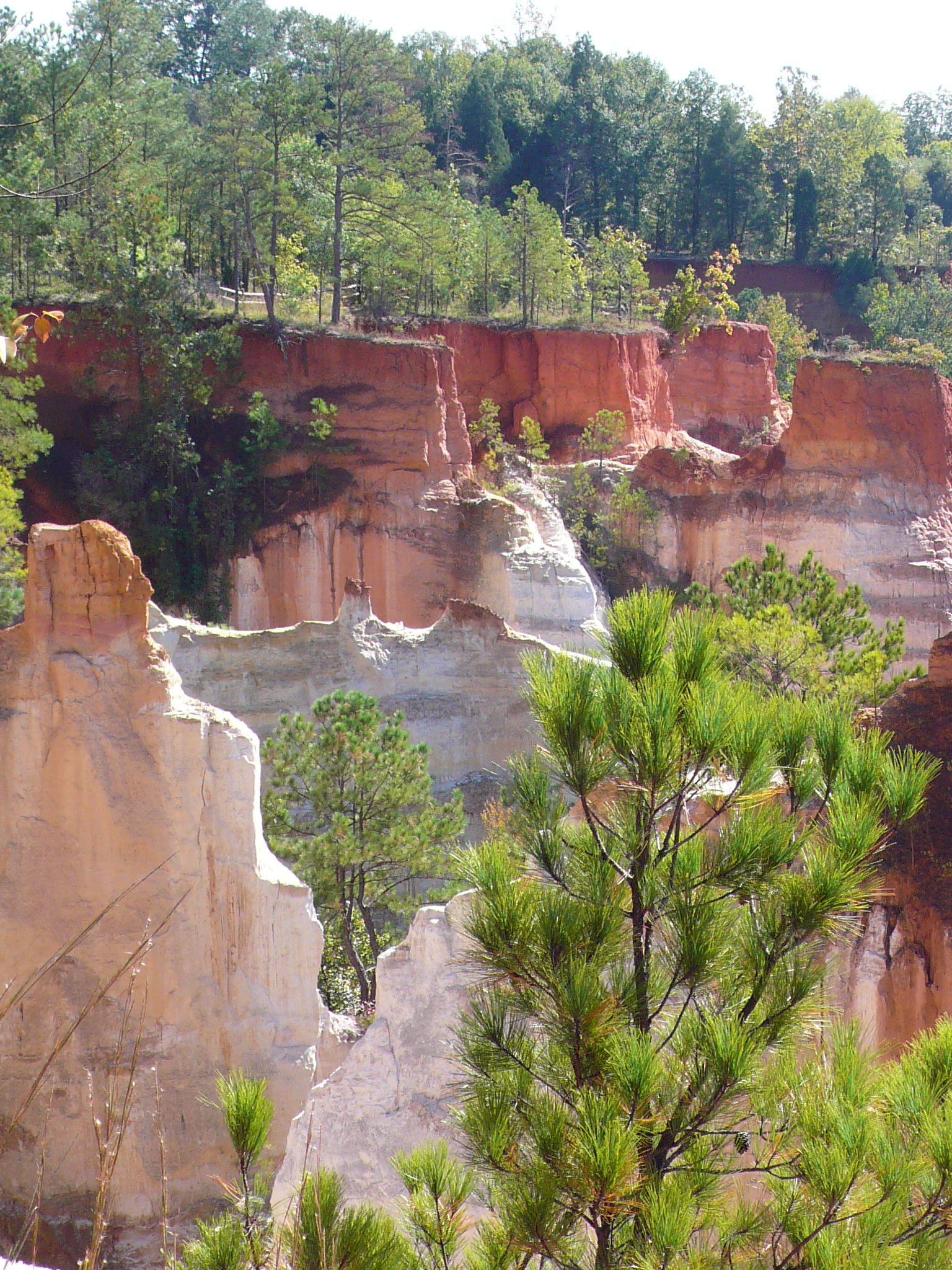 Eroded pink, orange and white clay gullies at Providence Canyon, with pine trees growing from the canyon floor