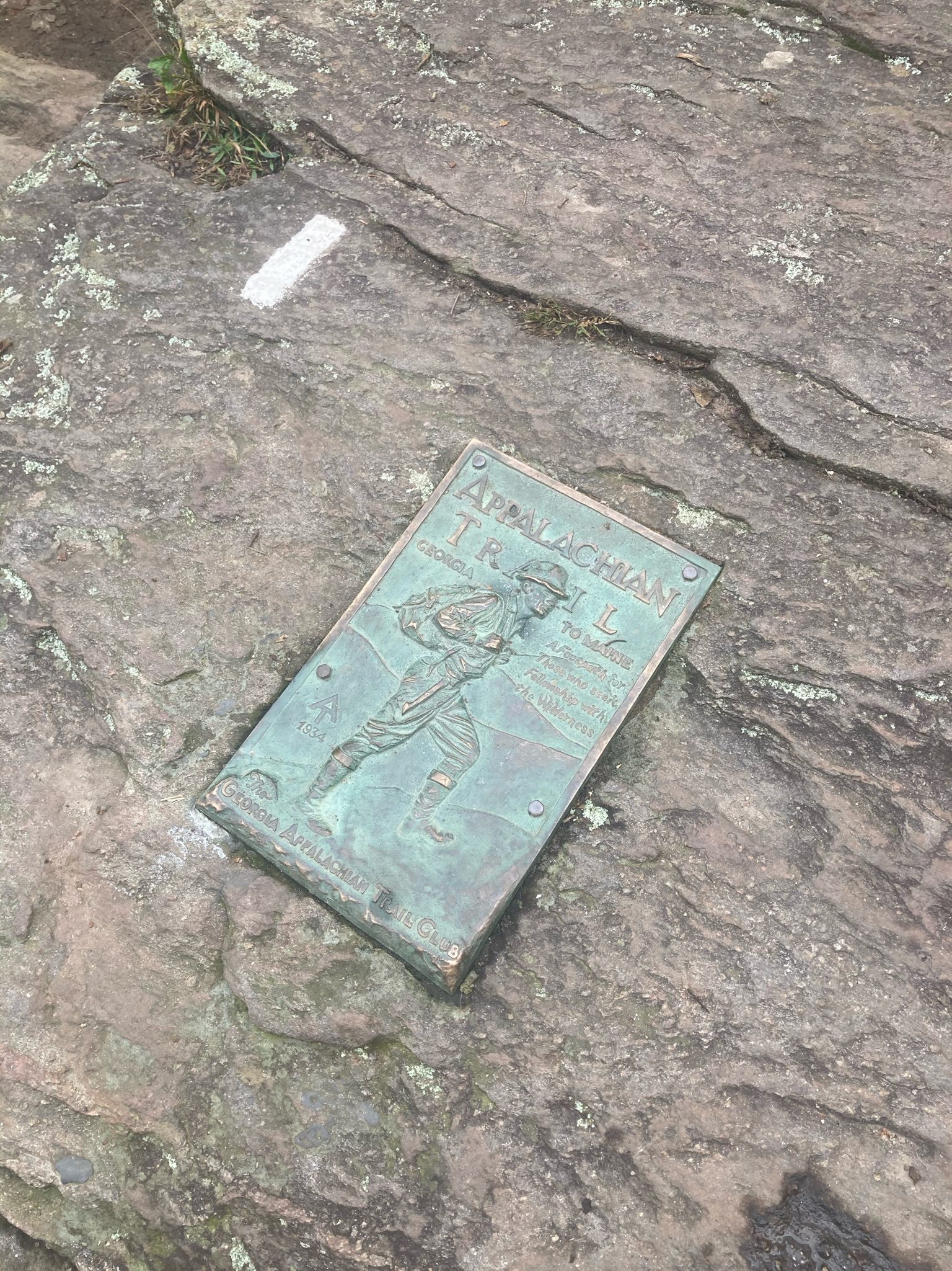 A weathered bronze Georgia Appalachian Trail Club plaque set into bare rock at the summit of Springer Mountain, with a white painted trail blaze beside it