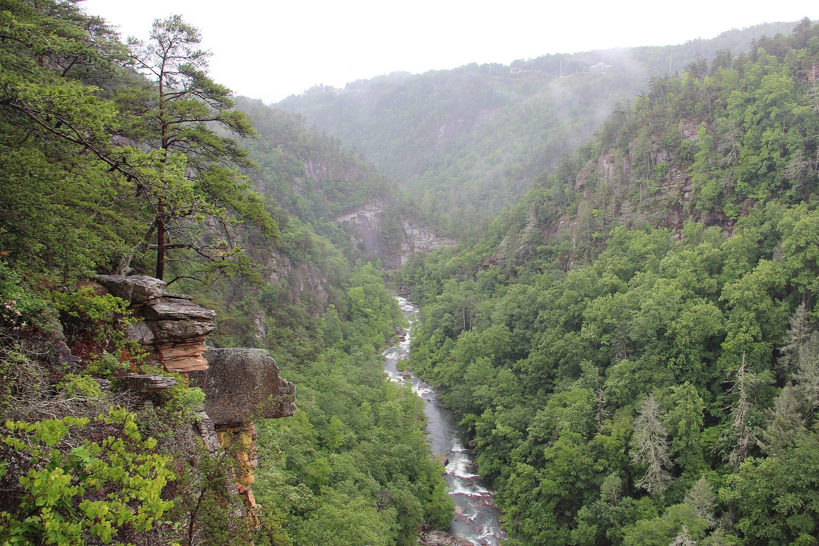 A view down into the forested Tallulah Gorge from a rim overlook, with the river running white over rocks far below and mist over the ridges