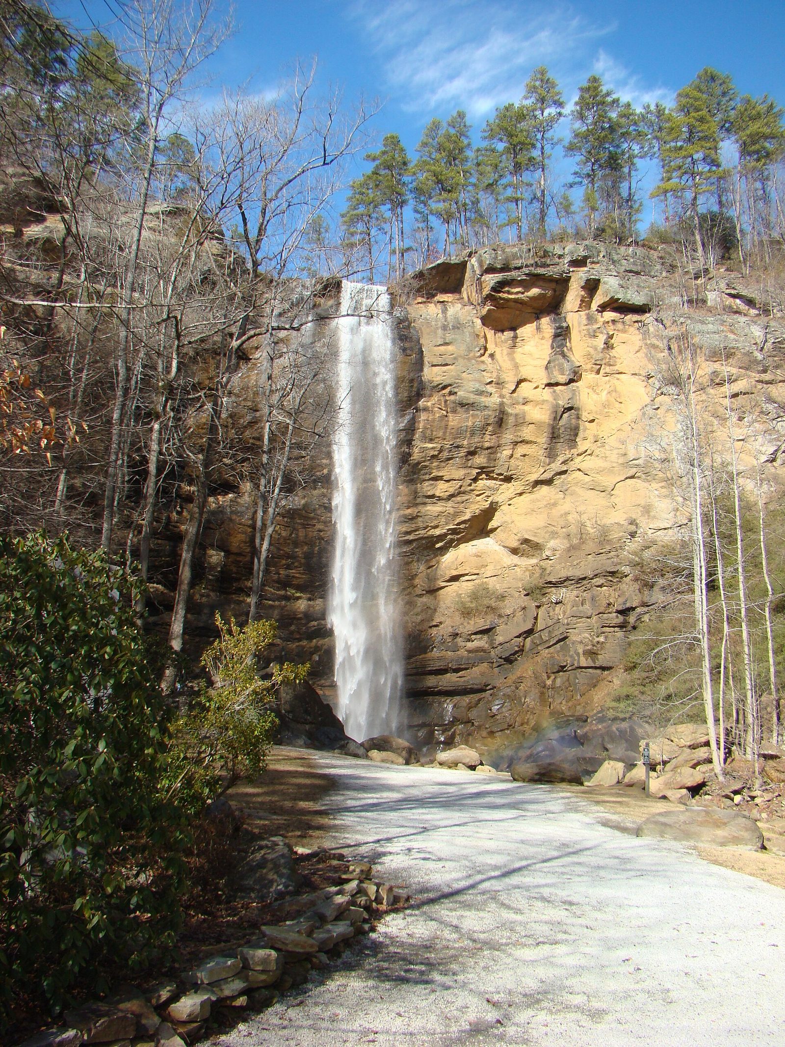 Toccoa Falls dropping in a single 186-foot ribbon down a tan sandstone cliff into a rocky pool, with bare winter trees on the left