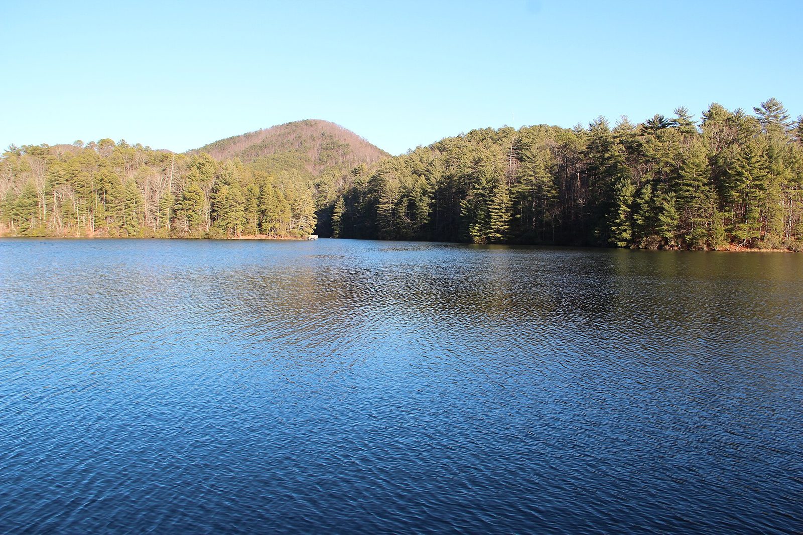 The still lake at Unicoi State Park in winter, with bare hardwood and evergreen forest on the far shore under a clear blue sky