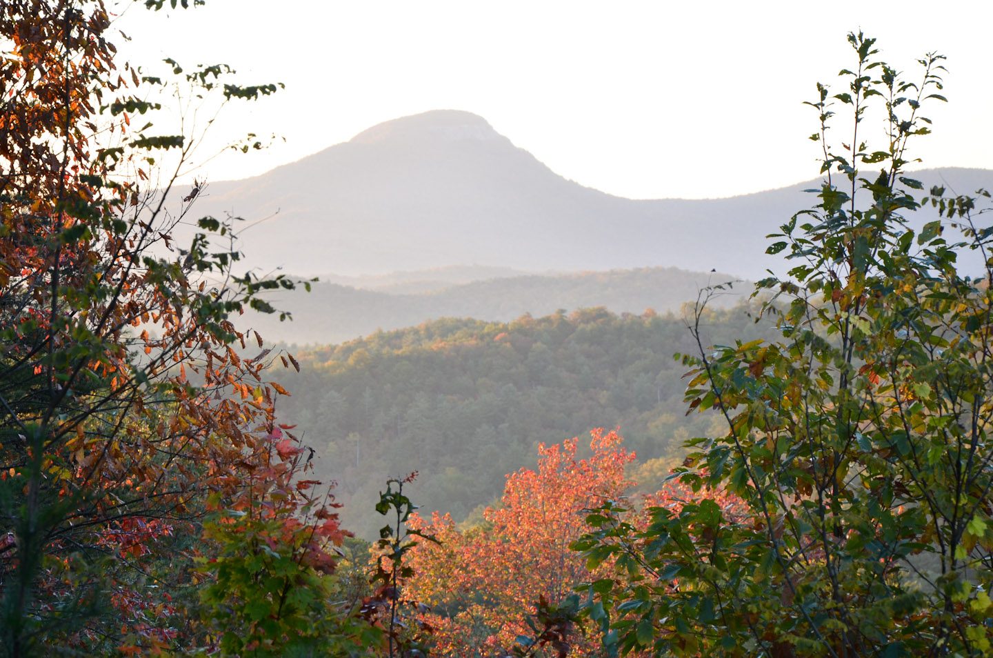North Georgia Fall Foliage Scenic Drive: Route, Stops and Timing