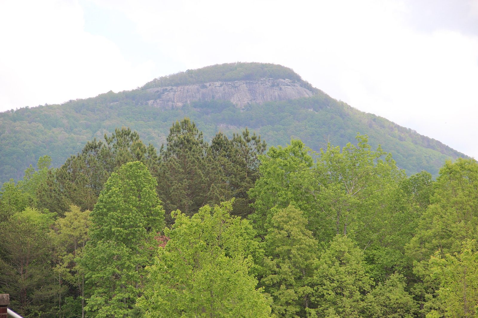 The bare granite south face of Yonah Mountain rising above forested slopes and green spring treetops in north Georgia